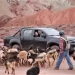 atacama 3